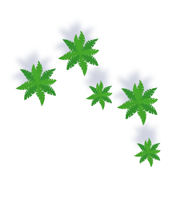 木を上から見たイラスト