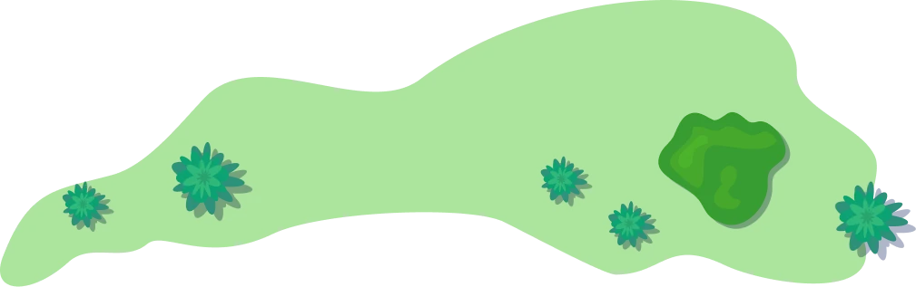 草木を上から見たイラスト