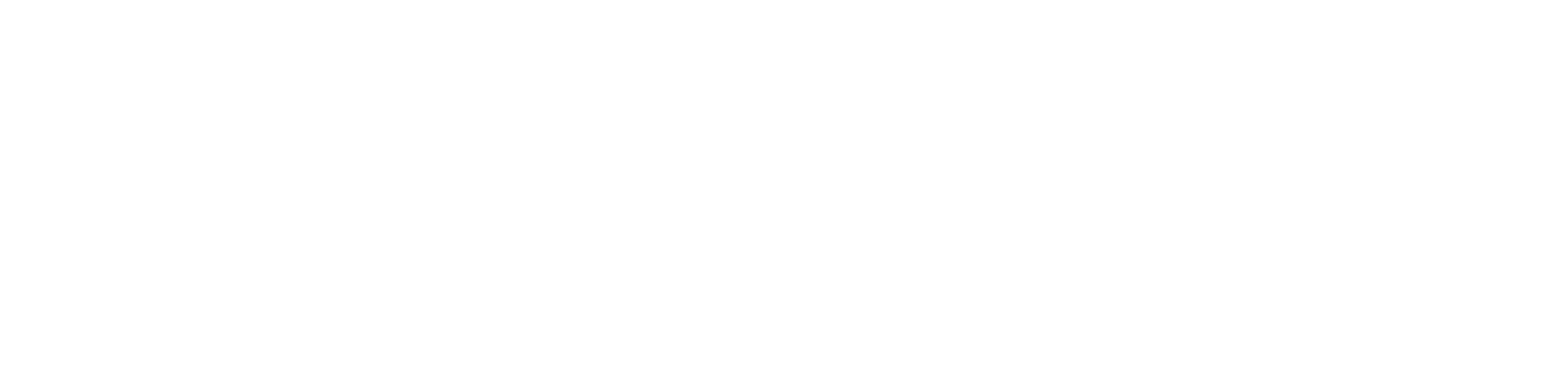We strive to bring the happiness to the company and all our employees grounded in the principle of freedom with rules we will continue to provide people with dreams hope inspiration and joy!
