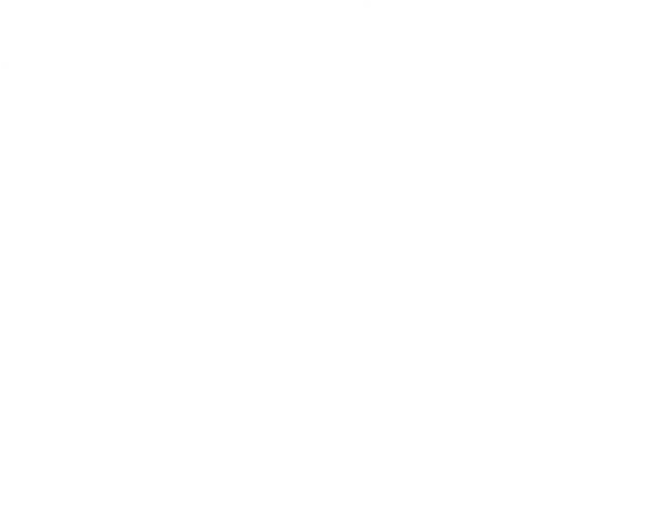 We strive to bring the happiness to the company and all our employees grounded in the principle of freedom with rules we will continue to provide people with dreams hope inspiration and joy!